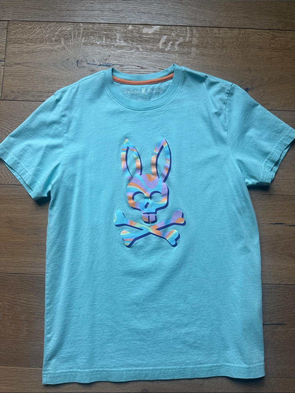 Psycho Bunny Kids Aqua Short-Sleeve Tee with Multicolor Bunny Logo